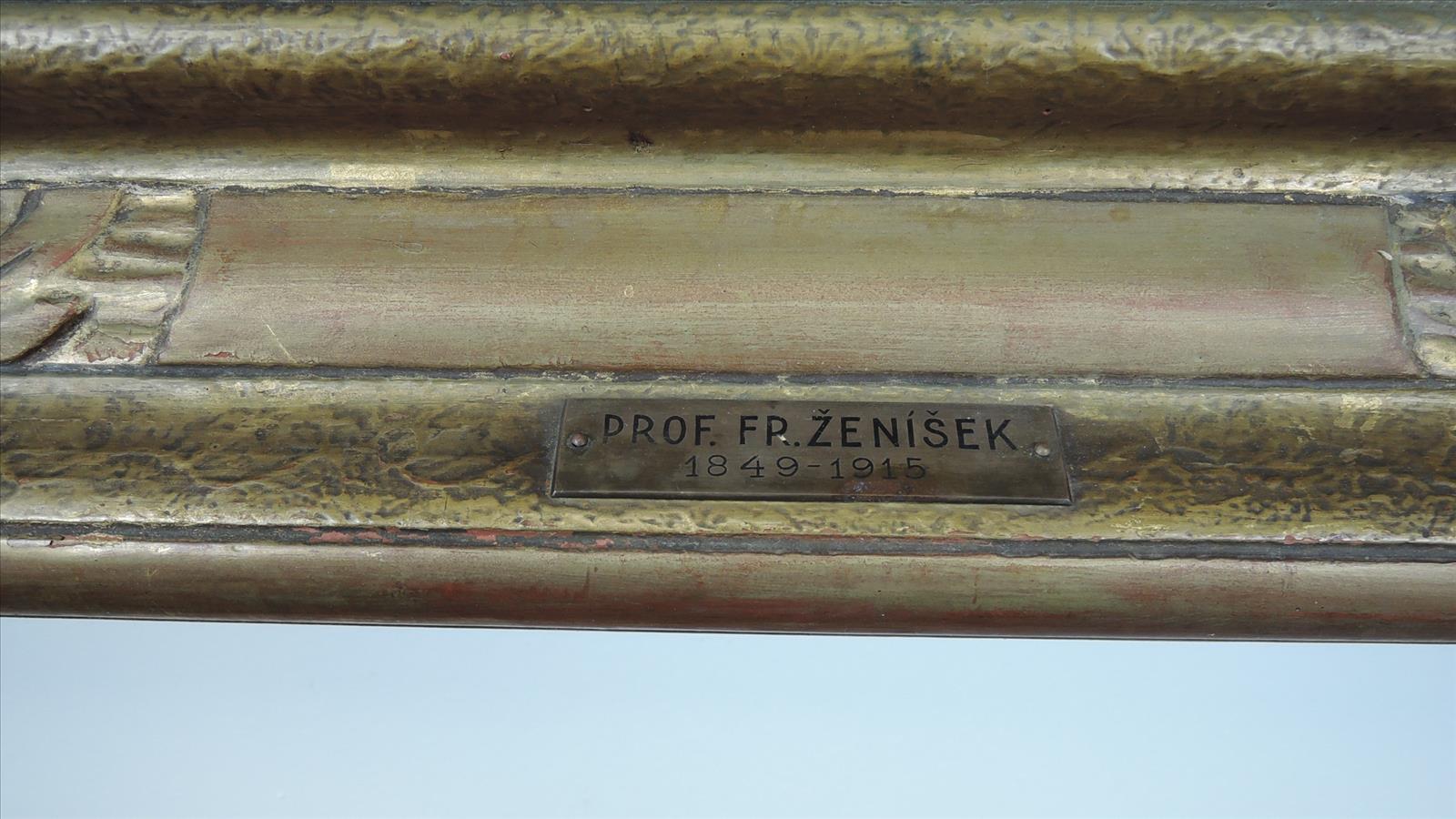 636098325346446448_zenisek2.JPG